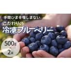 冷凍こだわりブルーベリー 500g×2