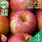 りんご 葉とらず サンふじ 訳あり 3kg