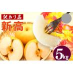 ふるさと納税 訳あり 柴沼梨園の梨( 新高 ) 梨 5kg 大玉 6〜14個入り 訳アリ 不揃い ナシ なし 国産 茨城 新高梨 秋 旬 フルーツ 果物 先行予.. 茨城県笠間市