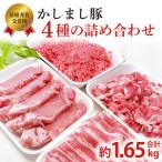 令和5年度 令和6年度 東京食肉市場豚枝肉共励会