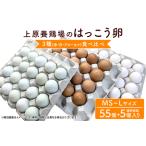 fu.... налог. ... яйцо 3 вид еда . сравнение MS~L размер 55 шт + поломка яйцо гарантия 5 шт яйцо вид размер случайный набор белый яйцо 30 шт красный яйцо 20 шт синий яйцо 10 шт a.. Okinawa префектура нить полный город 