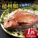 真鯛 下処理なし 1尾