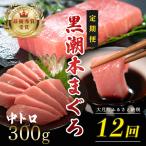 訳あり 不定貫 12ヶ月定期便 日本一 黒潮本まぐろ