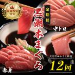 訳あり 不定貫 定期便12回 日本一 黒潮本まぐろ