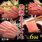 不定貫 定期便6回 日本一 黒潮訳ありまぐろ