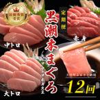 訳あり 不定貫 定期便12回 日本一 黒潮本まぐろ