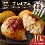 産豚プレミアムハンバーグ 計11個
