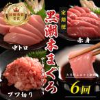 訳あり 不定貫 定期便6回 日本一 黒潮本まぐろ 中トロ 赤身 ブツ切り 3種セット