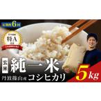 定期便6回コシヒカリ 丹波篠山産 コシヒカリ