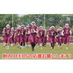 胎内DEERSへの応援 返礼品の送付はございません