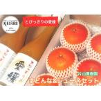とびっきりの愛媛片山果樹園 まどんな&ジュースセット