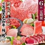 ふるさと納税 定期便(6回)枕崎お楽しみ便(黒毛和牛・まぐろ・かつおetc) GG-0046_肉 牛肉 サーロイン ステーキ 焼肉 切り落とし ロース もつ鍋.. 鹿児島県枕崎市
