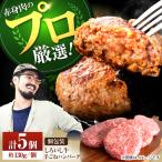 手ごねハンバーグ5個 ハンバーグ