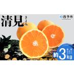 果物 フルーツ 柑橘 清見タンゴール みかん
