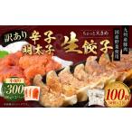 訳あり ちょっと大きめ 生餃子 ラー麦使用 100個