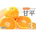 ふるさと納税 <おはこやがつくる 甘平 約3kg(L〜3Lサイズ)> 果物 フルーツ 柑橘 カンペイ みかん ミカン 蜜柑 特産品 西宇和 愛媛県 西予市.. 愛媛県西予市
