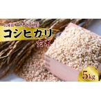 産コシヒカリ 玄米 5kg