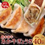 熊本 あか牛 和牛 ぎょうざ 40個