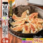 鹿児島黒豚使用の黒豚バラエティ生餃子