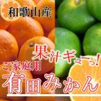 有田みかん1kg+250g