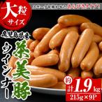 大粒 ウインナー 詰合せ 約1.9kg