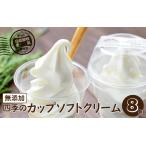 無添加 四季のカップ ソフトクリーム 8個