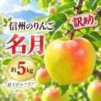 りんご サンふじ 令和8年 信州のサンふじ 約5キロ