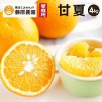 甘夏 から でお届け 4kg