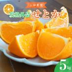 先行受付 2027年2月初旬~発送 規格外品