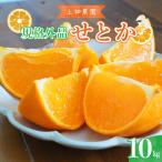 果物類 みかん 先行受付 2027年2月初旬~発送