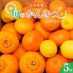 上神農園の紅八朔 約5kg