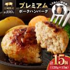 産豚プレミアムハンバーグ 計16個