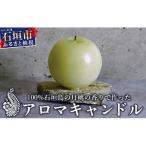 100% 垣島の桃のりで作ったアロマキャンドル