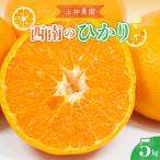 先行受付 2026年12月上旬~発送 西南のひかり 約5kg