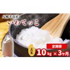 新米 いわてっこ 精米 10kg