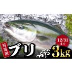 ブリ 3kg