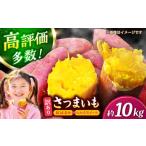 ふるさと納税 【先行予約】【数量限定】さつまいも 紅はるか or シルクスイート 蜜芋 10kg【合同会社 福福堂】さつまいも さつま芋 サツマイモ .. 熊本県山鹿市