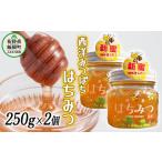 西洋みつばちのはちみつ 250g