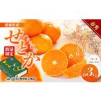 ふるさと納税 せとか ハウス栽培　赤秀　約3kg 果物類 みかん 柑橘 フルーツ 食後 デザート ジューシー 甘い コク 香り 国産 愛媛県産 愛媛県産.. 愛媛県東温市