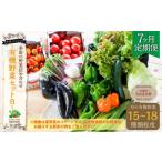 季節の野菜詰め合わせ ~有機野菜セットB~