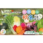 ふるさと納税 【 早期受付 4回定期便 】 とれたて 新鮮 ぱっくん畑のおくりもの 農家直送 秋・冬 野菜セット 約5種類 国産 野菜 やさい 予約 .. 高知県四万十市