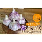香り高い 紫にんにく 1kg