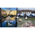 温泉 入浴 回数券 3回分 ヘラブナ釣り つり