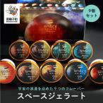 スペースジェラート 9個セット