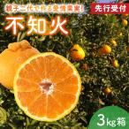 S142-002A_不知火 約3kg箱