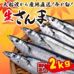 ふるさと納税 【2025年 先行予約】訳あり さんま 2kg 冷蔵 鮮秋刀魚 発送期日2025年9月〜2025年11月下旬 海鮮 魚貝類 魚介類 さんま サンマ .. 岩手県大船渡市