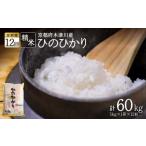 お米60kg 5kg×12回