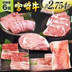 6回 定期便 宮崎牛 ロースステーキ 肩焼肉