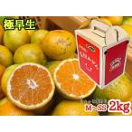 ちょっと傷あり M~SSサイズ約2kg_ZF6304n