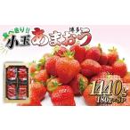 いちご 食べきりサイズ 博多あまおう8パック 約1440g